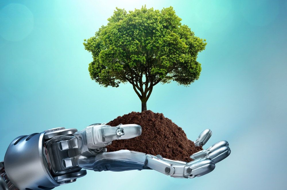 A robot hand holding a small tree in a clump of dirt.